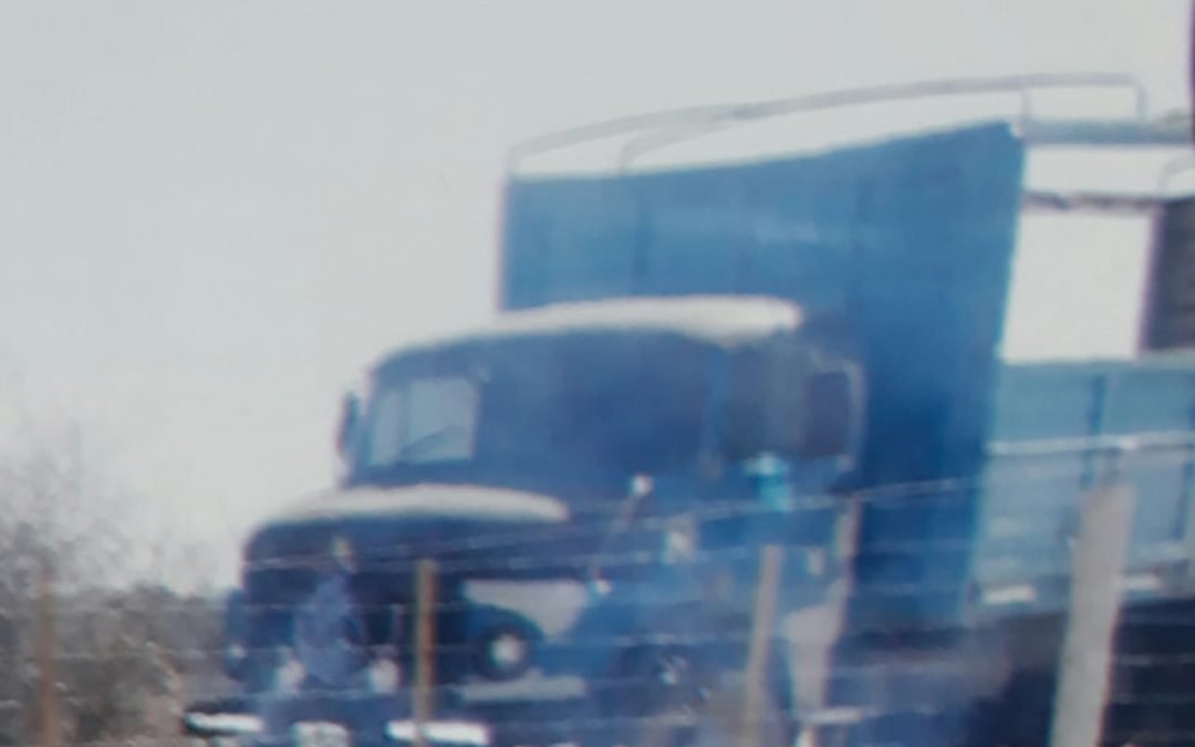 Camión con lechones – Color Azul – Patente TBD855